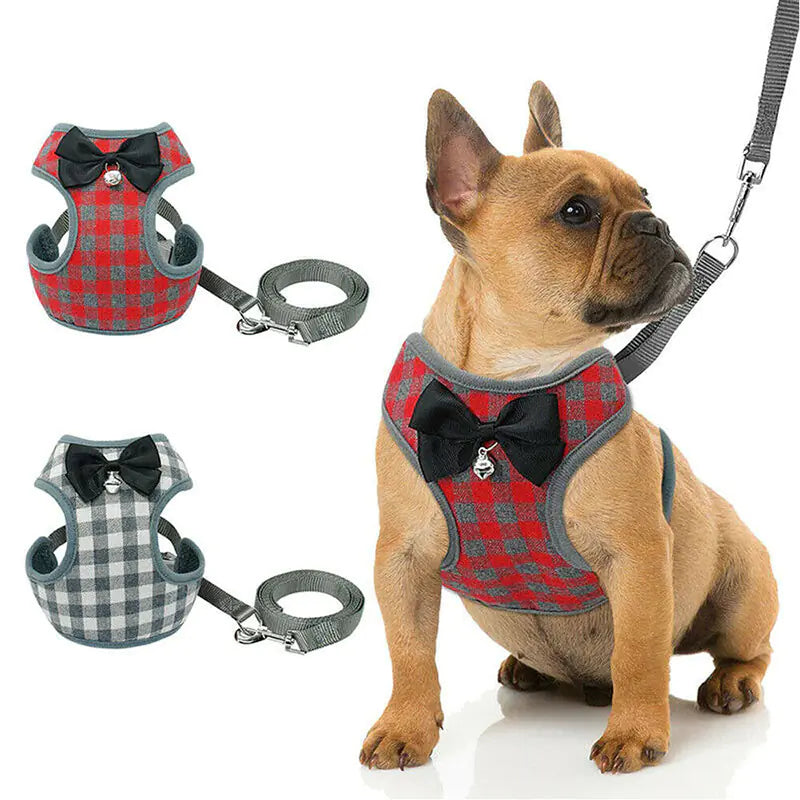 SirWoofs Suite Dog Leash