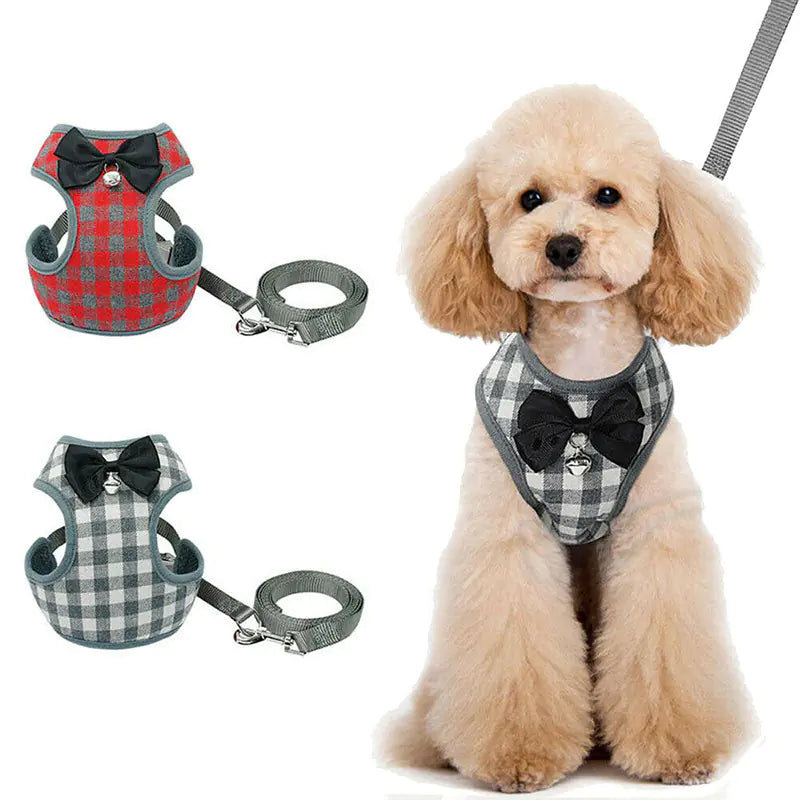 SirWoofs Suite Dog Leash