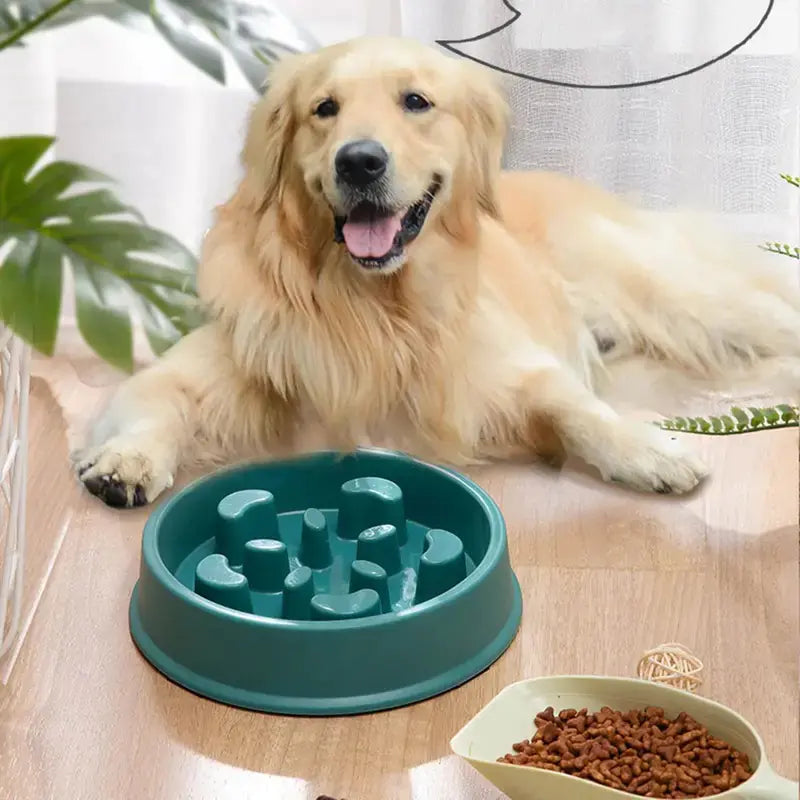 SirWoofs™ GentleBite Slow Feeder