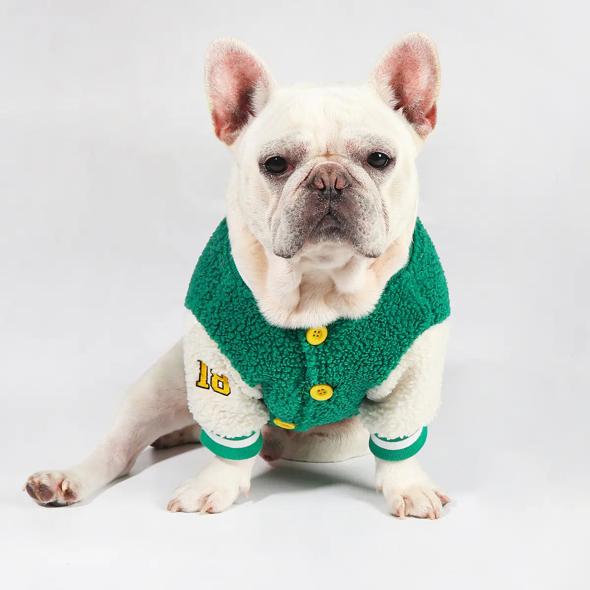 SirWoofs Winter Baseball Coat